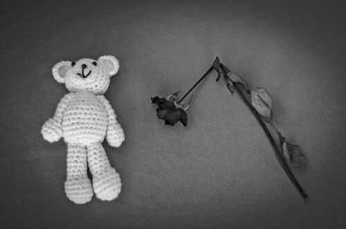 kids-death_1186093231 Crocheted bear and wilted rose on gray background