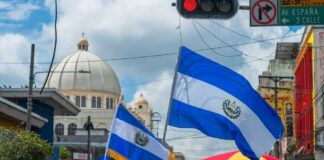 Crowd waving El Salvador flags during a celebration in a city street