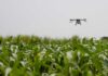 A drone flying over a field of crops