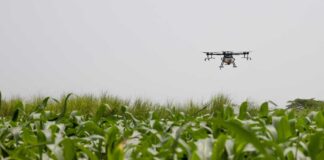 A drone flying over a field of crops