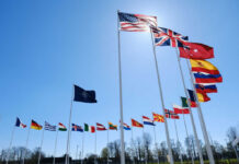 Many national flags flying in clear blue sky