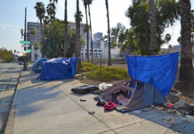 Tents and tarps line sidewalk near palm trees