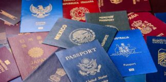 Hands using a calculator with travel documents and notes