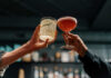 Fugitive CEO Parties In Munich — Girlfriend In The Crosshairs Two hands clinking cocktails