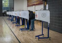 Obama Alum Torched: ‘Wild Speculation’? Voters at polling booths in a gymnasium