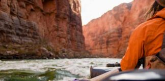 Hiker overlooking expansive canyon landscape