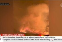 Raging Flames Close Iconic Volcano Indonesia closes Mount Bromo National Park due to spreading wildfire