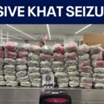 O’Hare Haul Stuns: Half-Ton Stimulant Nabbed More than 1,170 pounds of khat seized at O’Hare, 3 travelers charged