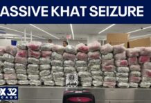 More than 1,170 pounds of khat seized at O’Hare, 3 travelers charged