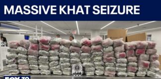 More than 1,170 pounds of khat seized at O’Hare, 3 travelers charged