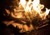 GOP Leader’s $1,909 Bar Night Exposed Stacks of U.S. dollar bills burning in bright flames