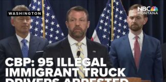 CBP: 95 illegal immigrant truck drivers arrested in August, most with California licenses