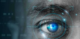 Human eye with digital scanning interface