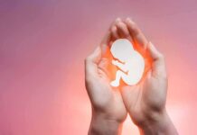Near-Total Ban Returns: Abortion Protections Flipped hands cupping a fetal silhouette on pink background